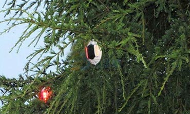 Solar cat eye road studs on the Christmas tree